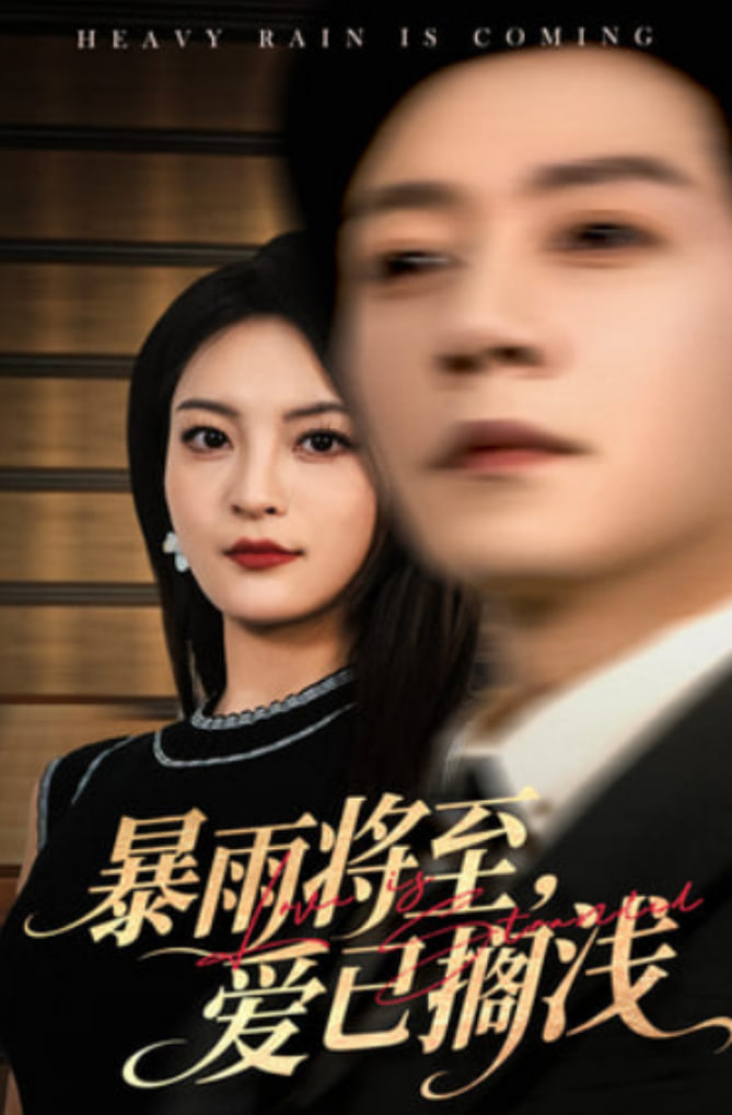 暴雨将至爱已搁浅