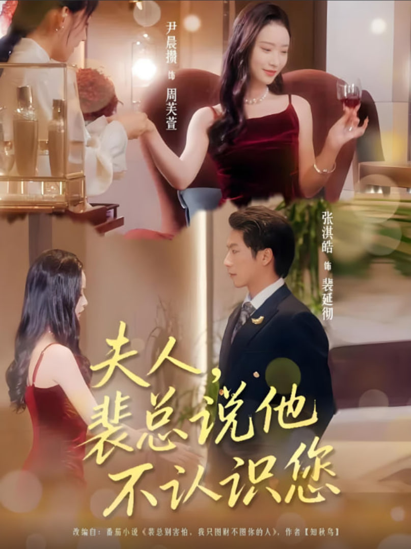 夫人裴总说他不认识您