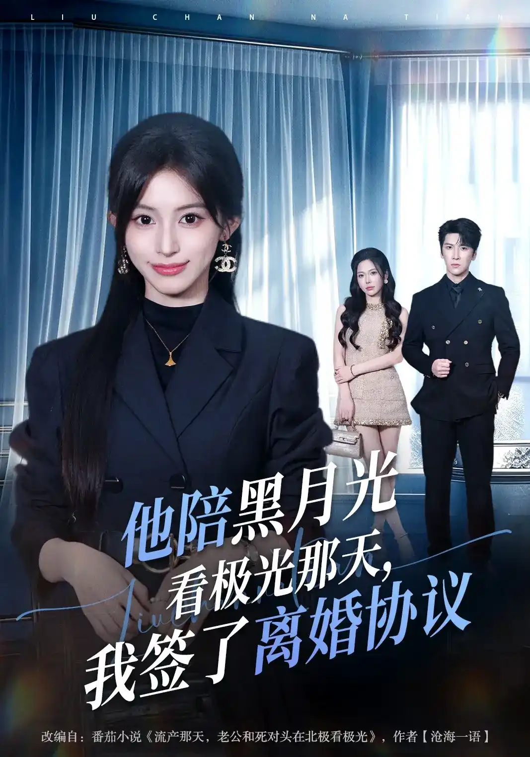 他陪黑月光看极光那天，我签了离婚协议